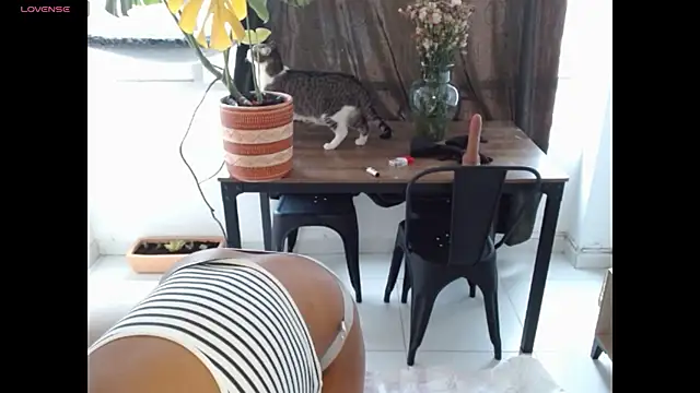 Chat +18 de NovahPerotti ao vivo