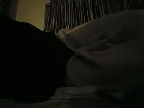 Raymond1308 Show Webcam