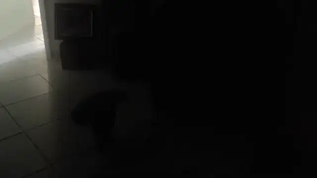 joeydee1: απευθείας συνομιλία ΧΧΧ