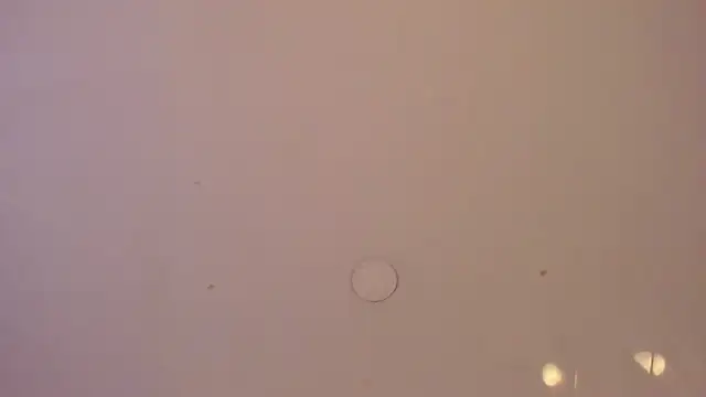 Chat +18 de sakura_Gomez ao vivo