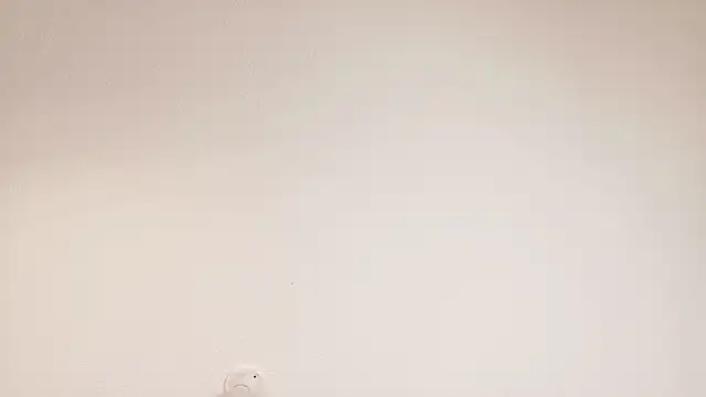 Zara_Fire Adlı Modelin Canlı XXX Sohbeti