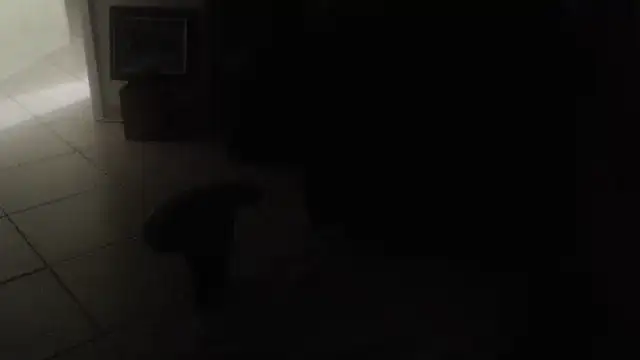joeydee1のウェブカメラショー