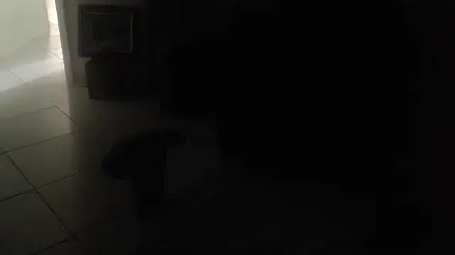 joeydee1's Webcam Show