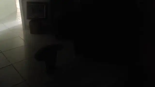joeydee1's Webcam Show