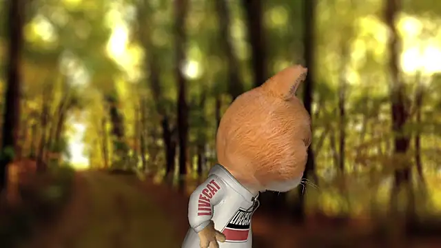 Czat XXX na żywo – Romy-sweet
