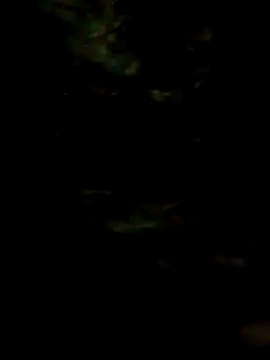 FeloBad Webcam-Show