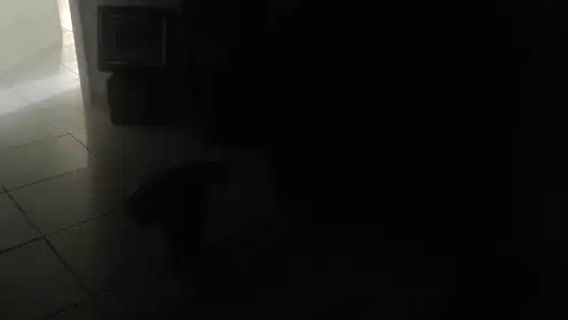 joeydee1 ও য়েবক্যাম শো