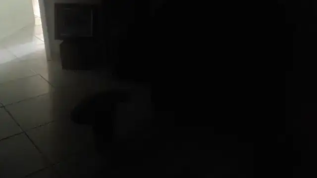 joeydee1: διαδικτυακό σόου στην κάμερα