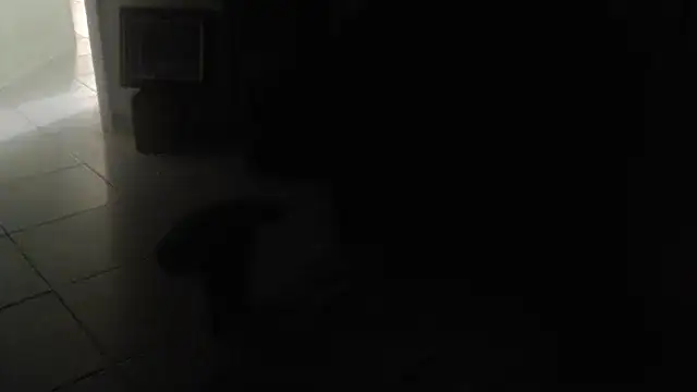 Show Webcam de joeydee1