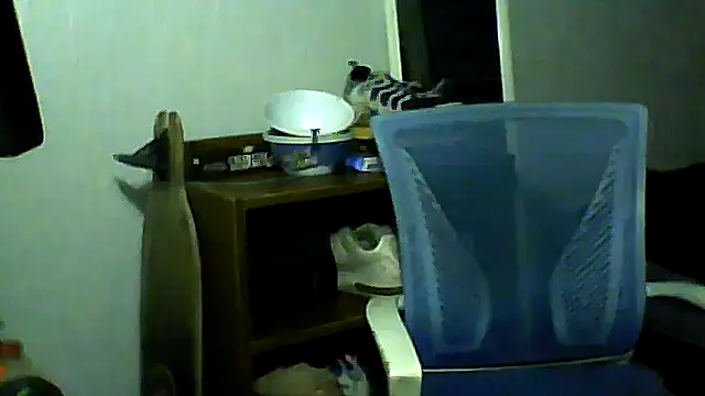 Chatroom XXX en direct de SlickDickyadown