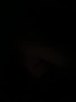 bellatrix25 라이브 XXX 채팅