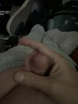 Puntzel's Webcam Show