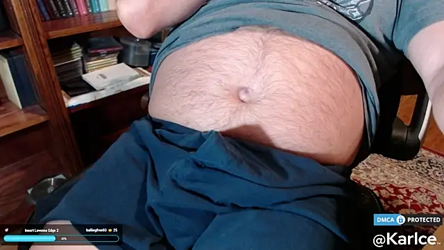 Show Webcam de karlce