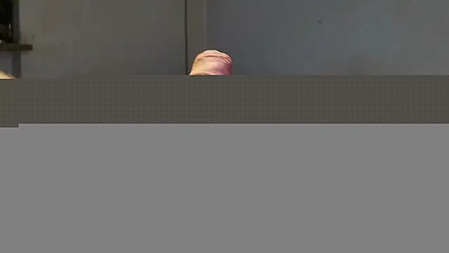 Chat +18 de Alphapimmelchen ao vivo