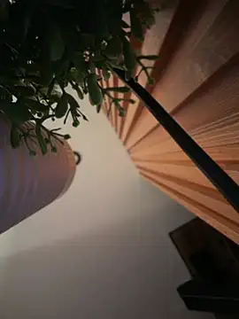 دردشة tinker_exotic_1 الجنسية المباشرة