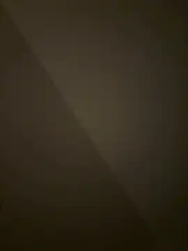 bigdick20101 现场XXX聊天