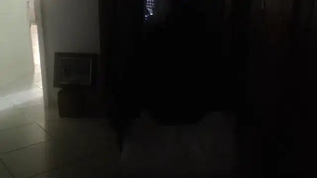 joeydee1 Show Webcam