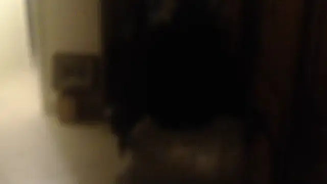 joeydee1n Webbikameraesitys