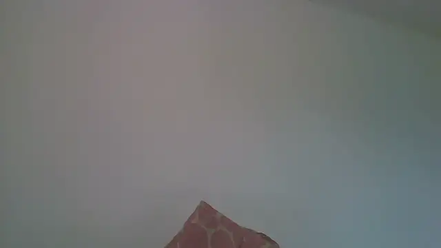 Kaappi1967 Live XXX-chat
