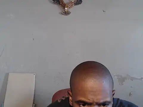 عرض كام Frank_X_Husle