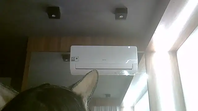 Show de SkinnyKitten na webcam