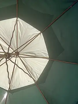 Soltissimo 即時 XXX 聊天