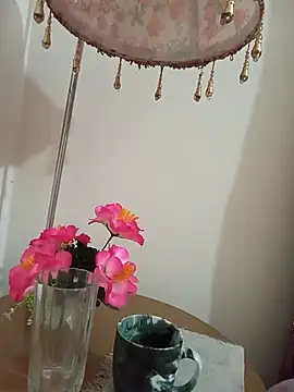 XXX chat uživo modela Tanha18