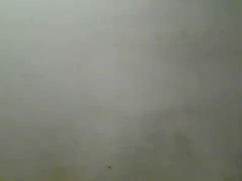 Foxboy65 Chat XXX in diretta