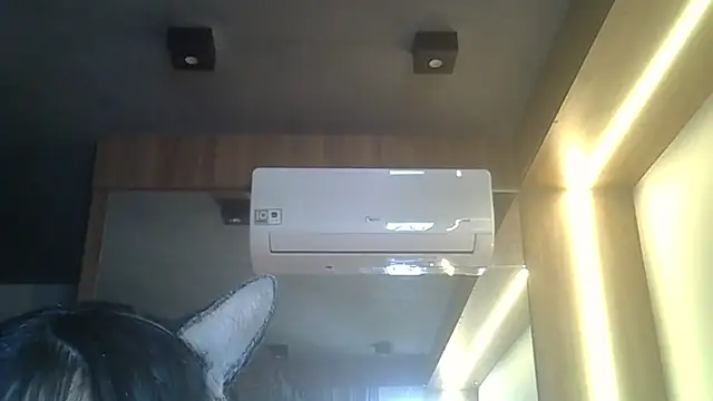 Show de webcam de SkinnyKitten
