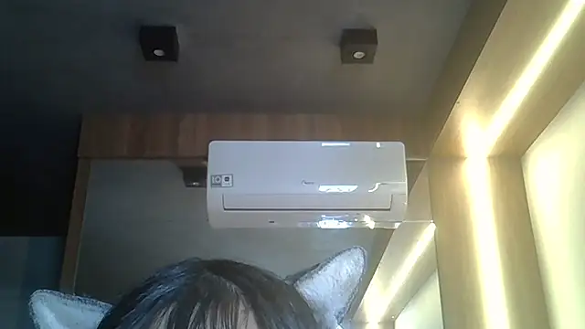 Show de webcam de SkinnyKitten