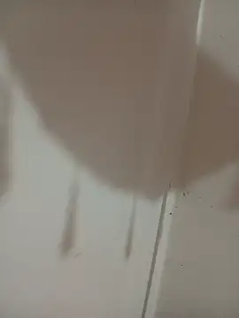 Chat XXX ao vivo de Tanha18