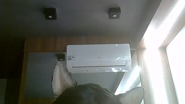 Pertunjukan Kamera Web SkinnyKitten