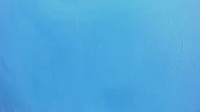 Charlie___MuskのライブXXXチャット