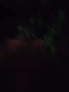 צ'אט XXX בשידור חי של Hiptonos