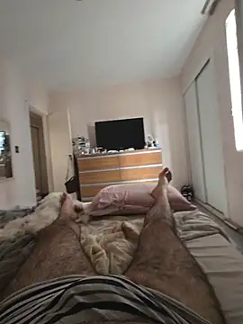 MysterBearMG Chat XXX live