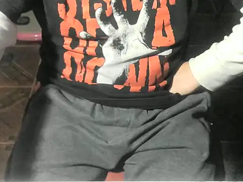 Show de webcam de OreCam