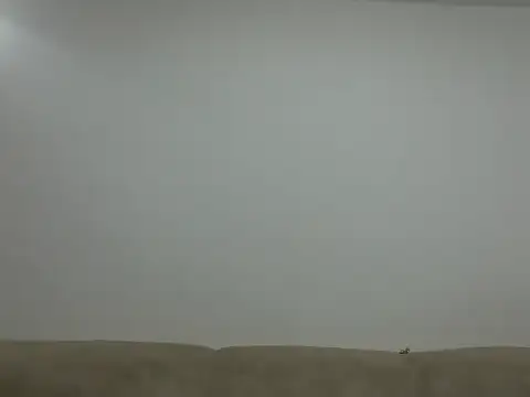 afrocamshooter Live XXX-Chat