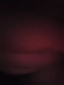 mayhots élő XXX-chatje