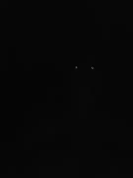 Chat XXX en directo de Nalavi