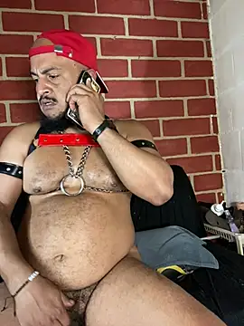 the_master_foal_のライブXXXチャット