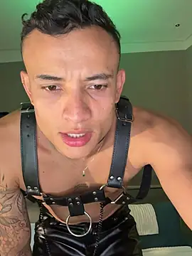 DavisFirb Pertunjukan Webcam