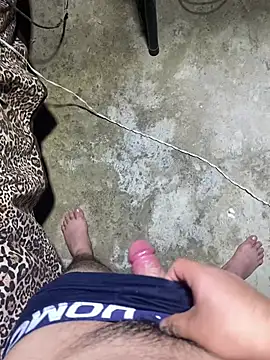 FeedSind Webcam Show