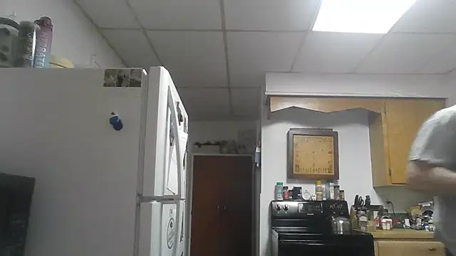 TheOneDonShaun webkamerás műsora