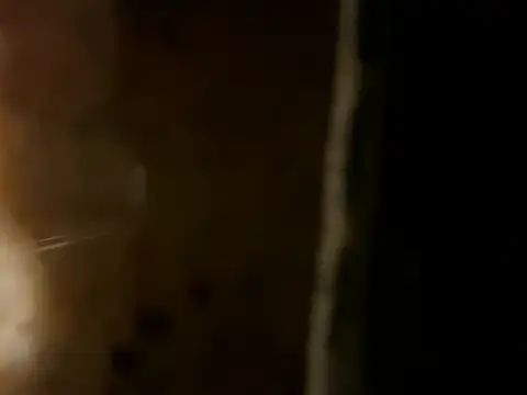 charactrzero XXX чат на живо
