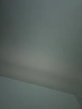 tashaninlife's Webcam Show
