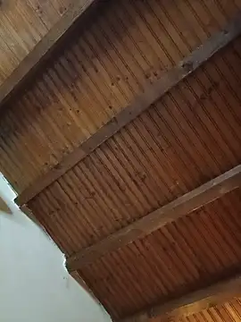 CurlyElisa's Live XXX Chat