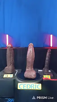 FantasyMan-BiWM Adlı Modelin Canlı XXX Sohbeti