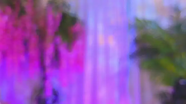EvaHair Live XXX-chat