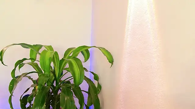 Mandy_boobs99 Chat XXX live