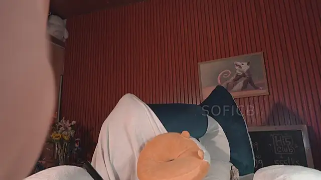 sofi_sc élő XXX-chatje